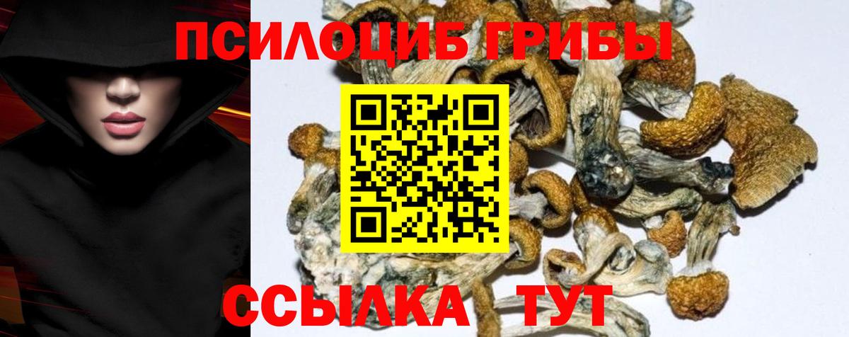 Миасс  Галлюциногенные грибы MAGIC MUSHROOMS  Вход с VPN 
