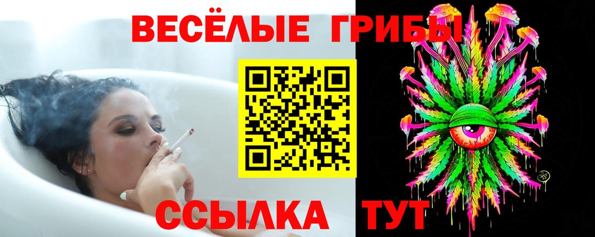 Псилоцибиновые грибы Psilocybine cubensis Миасс